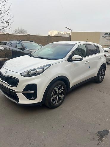 Kia: Kia Sportage: 2019 г., 2 л, Автомат, Дизель, Кроссовер — 3