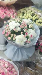 квартиры частный дом: 2-комнатная квартира требуется срочно для молодой семьи (4 человека)