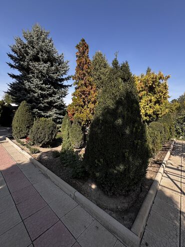 Продажа домов: Дом, 85 м², 4 комнаты, Собственник, Косметический ремонт — 25