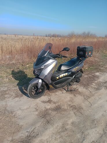 Скутеры: Макси-скутер 180 куб. см, Бензин at lalafo.kg — 6 Скутеры: Макси-скутер 180 куб. см, Бензин — 6