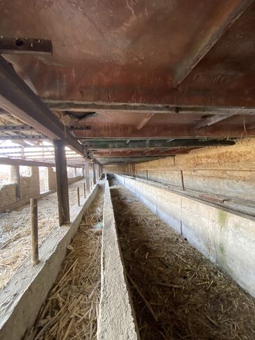 Продажа участков: 20 соток, Для бизнеса, Красная книга, Договор купли-продажи — 9