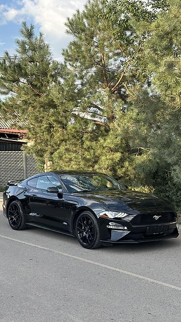 m111 2.3 kompressor купить: Ford Mustang: 2020 г., 2.3 л, Автомат, Бензин, Купе — 1