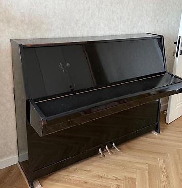 instrumenti: Ağac korpuslu, qara rəngdə klassik vertikal pianino. Xüsusiyyətlər: - — 1