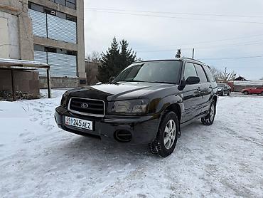 Subaru: Subaru Forester: 2003 г., 2 л, Автомат, Бензин, Внедорожник — 2