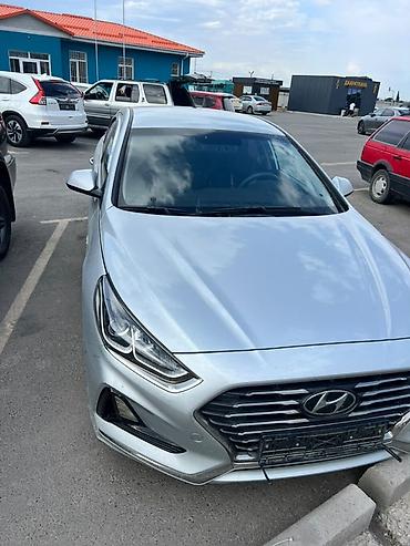 дн 8 соната 2019: Hyundai Sonata: 2019 г., 2 л, Автомат, Газ, Седан — 2