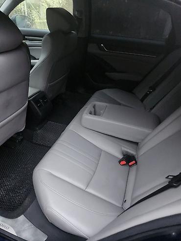 акорд 2019: Honda Accord: 2019 г., 2 л, Автомат, Бензин, Седан — 9