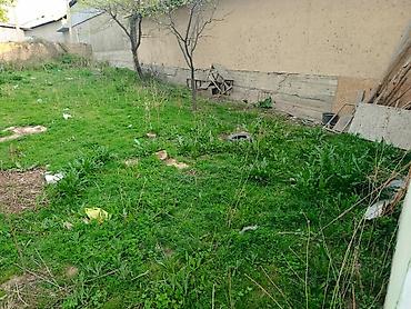 Продажа времянок: Продаётся дом !район Черемушки, МЖК1 больше 10 соток! срочная at lalafo.kg — 2 Продажа времянок: Продаётся дом !район Черемушки, МЖК1 больше 10 соток! срочная — 2