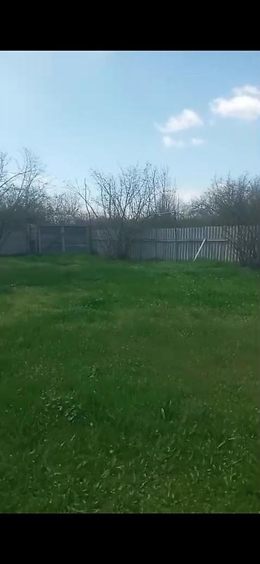 Torpaq sahələrinin satışı: Kənd təsərrüfatı — 7