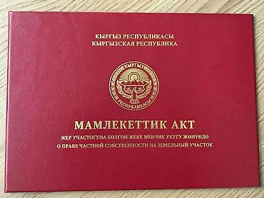 круглый: 7 соток, Для бизнеса, Красная книга — 1