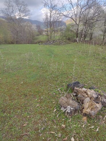 Torpaq sahələrinin satışı: Satılır: təbiət qoynunda yaşıllıqla əhatələnmiş torpaq sahəsi — 4