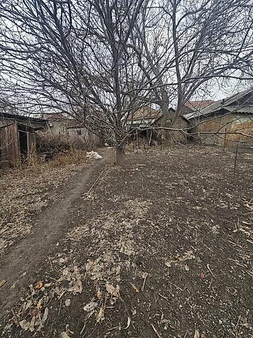 Sale of cottages and houses: Продаётся участок по первой линии Лебединовка напротив магазина Шекер — 7