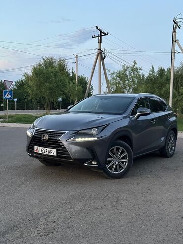 runx alex: Lexus NX: 2018 г., 2 л, Автомат, Бензин, Кроссовер
