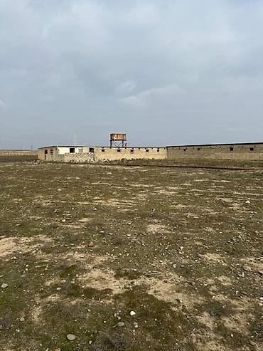 İcarəyə binalar: Torpaq sahəsi icarəyə verilir. Hövsan qəsəbəsində yerləşən ferma — 2