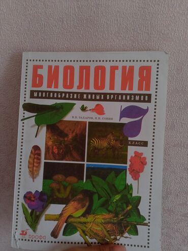 Книги, журналы, CD, DVD: Состояние отличное