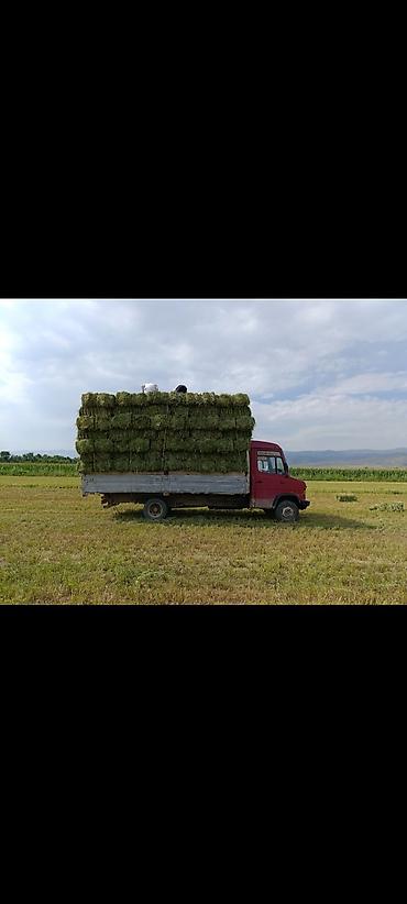 Грузовики: Грузовик, Mercedes-Benz, Стандарт, 6 т, Б/у — 8
