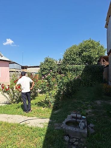 jack 4: Дом с приусадебным участком и садом роз. - Отдельно стоящий дом с — 3