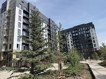 2 комнаты, 80 м², Асанбай мкр Элитка, 8 этаж, ПСО (под самоотделку)