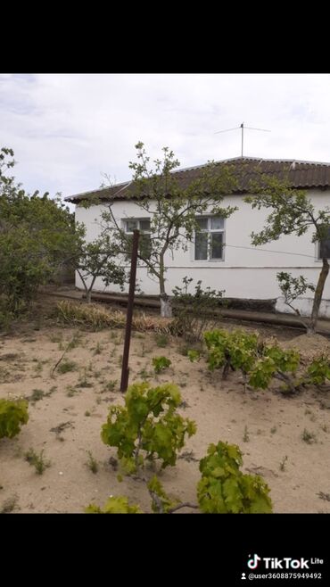 Bağ evlərinin satışı: Saray, 90 kv. m, 3 otaqlı, Artezian quyusu, İnternet, Telefon -da lalafo.az — 2 Bağ evlərinin satışı: Saray, 90 kv. m, 3 otaqlı, Artezian quyusu, İnternet, Telefon — 2