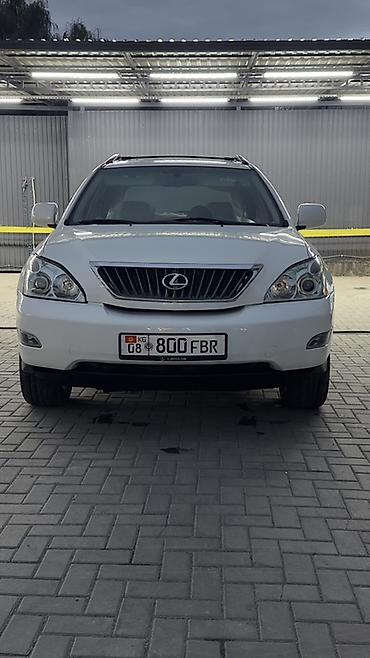 мото номер: Lexus RX: 2009 г., Кроссовер — 4