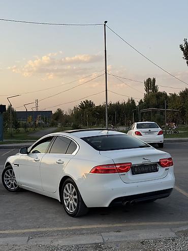 чехлы бу: Jaguar XE: 2017 г., 2 л, Автомат, Дизель, Седан — 4