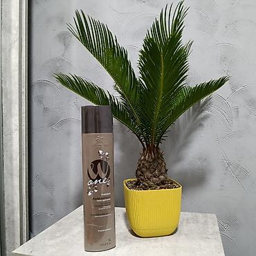 Уход за телом: Бразильский Кератин купить в Оше . Бразильская Нанопластика для — 7