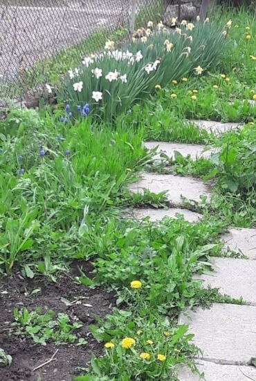 Продажа домов: Дача, 70 м², 4 комнаты, Агентство недвижимости — 8