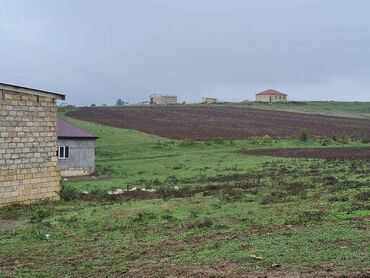 Torpaq sahələrinin satışı: 100 sot, Kənd təsərrüfatı, Mülkiyyətçi, Kupça (Çıxarış) — 12