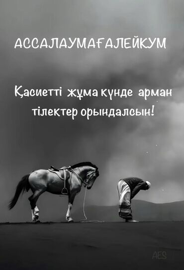 продается дом каракол: Дом, 500 м², 5 комнат, Собственник, Косметический ремонт