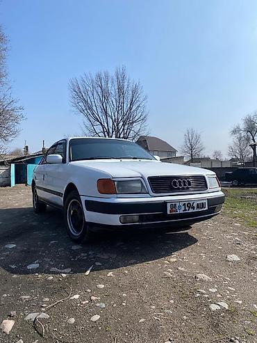 Audi: Audi 100: 1993 г., Седан — 2