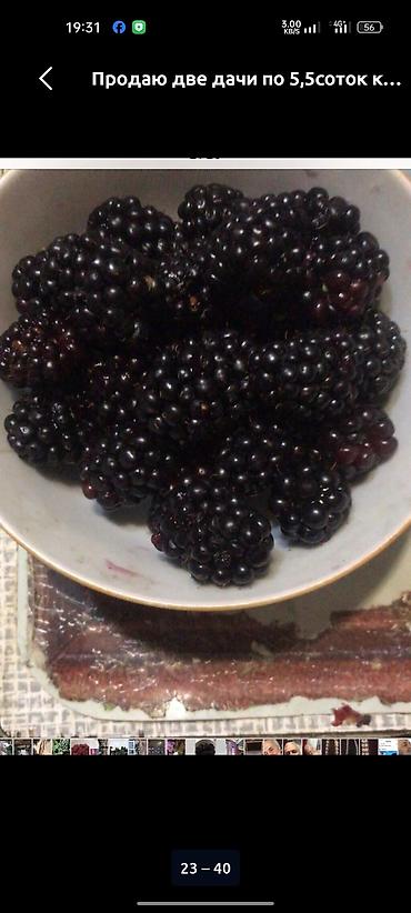 Продажа дач: Продаются дачные участки с домом. Объект: - Кирпичный дачный дом на — 8