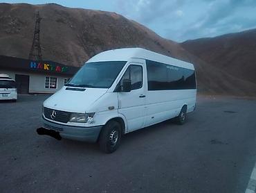 Mercedes-Benz Спринтер: 2001 г., 2.9 л, Механика, Дизель, Бус