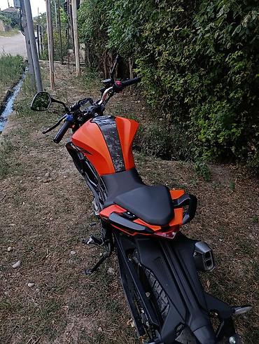 freedom ninja 250: 200 sm3 — 2