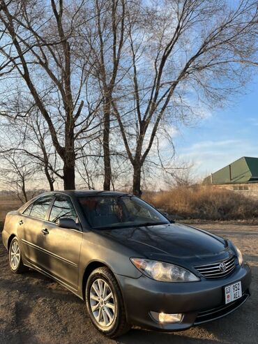 тойота алфад: Toyota Camry: 2005 г., 2.4 л, Автомат, Газ, Седан