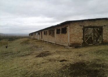 дом арча бешик ак орго: Сатам Кой короо, 50 соток, Иштеп жаткан, Жарым-жартылай жабдуулары менен, Муздак суу, Электр энергиясы
