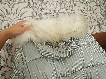 кожаная куртка бу: Balonka kurtka - az geyinilib, heç bir deffekti yoxdur. S və M bədənə — 2