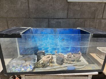 Рыбы: Продам самодельный аквариум размер: длина-1 метр, ширина-36, высота-42
