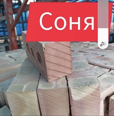 фундук саженцы купить: Пустотелый, дырчатый, Жженый кирпич, Полублок, 250×120×90