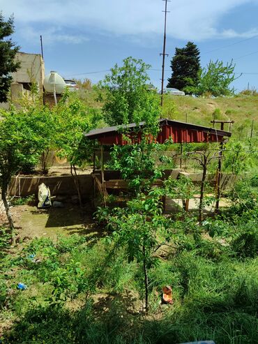 Həyət evləri və villaların satışı: Suraxanı 4 otaqlı, 100 kv. m, Kredit yoxdur, Yeni təmirli — 2