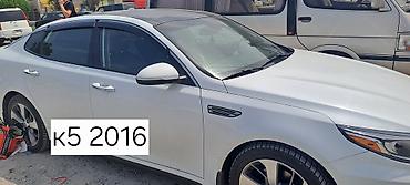 Ветровики и мухобойки: Toyota, Новый — 10