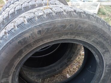 Шины: Шины 185 / 65 / R 14, Зимняя шипованная, Б/у, Комплект, Легковые, Bridgestone