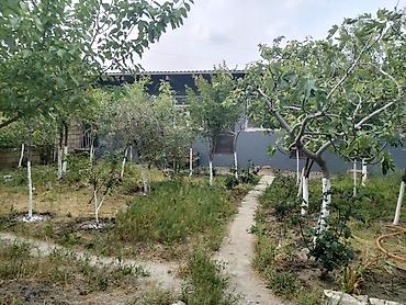 neftçala ev: Sumqayıt, 5000 kv. m, 8 otaq, Hovuzsuz, İnternet, Telefon, Qaz — 2