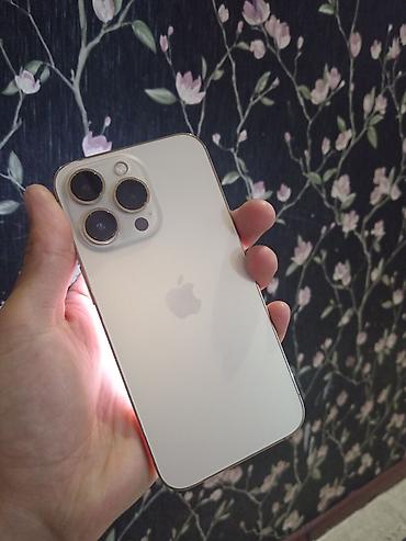 aiphone 15: IPhone 13 Pro, Б/у, 256 ГБ, Серебристый, Чехол, 89 % — 3