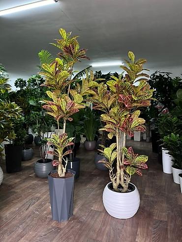 Декоративные цветы: 🌿 Mayram Decor KG — искусственные деревья, цветы и зелёные композиции — 11