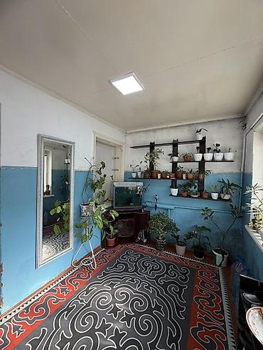Продажа коттеджей и домов: 📍 В Шопокове продается дом на участке 10 соток ( по факту 15 ), 80 — 13