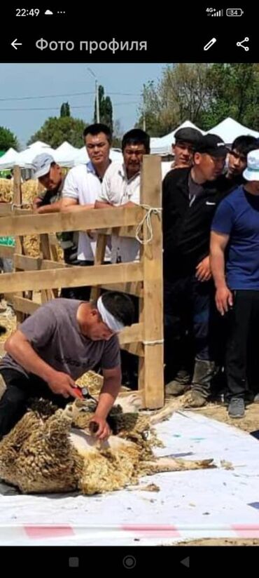 сколько стоит покрасить куртку в химчистке: Стрижка