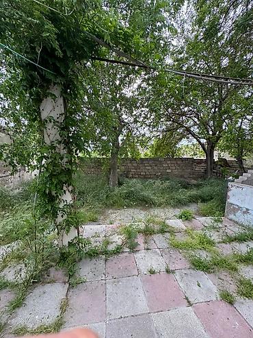 Həyət evləri və villaların satışı: Satılır: Həyət evi - Geniş planlı birmərtəbəli ev, ayrı-ayrı böyük — 13