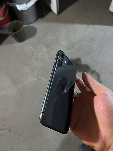 Apple iPhone 11 (серия с двойной основной камерой, корпус цвета