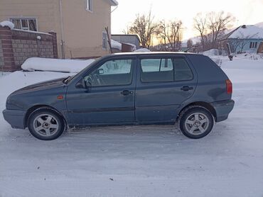 Volkswagen: Volkswagen Golf: 1995 г., 1.8 л, Механика, Бензин, Хэтчбэк