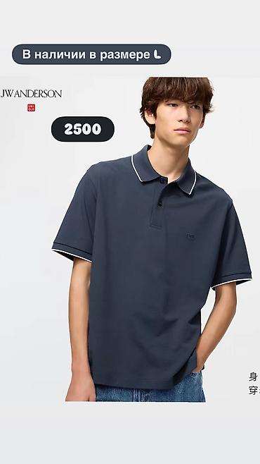 Футболки: Мужская футболка, L, Uniqlo, Новый, Платная доставка, Самовывоз — 3