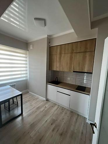 2022: 2 комнаты, 52 м², ЗАГС/Цирк Элитка, 11 этаж, Евроремонт — 1